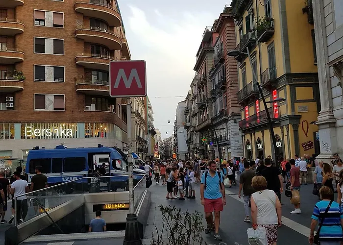 Melissa A Toledo